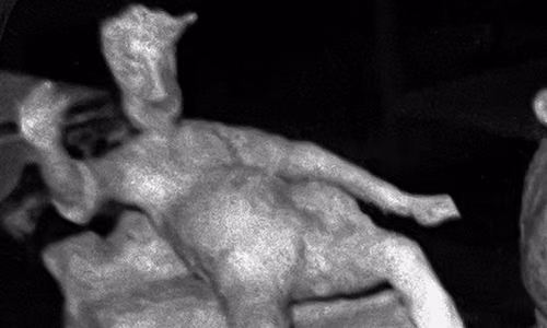 « Chute de marche! » : Sculpture du mouvement en action. — Sculture d’argile.