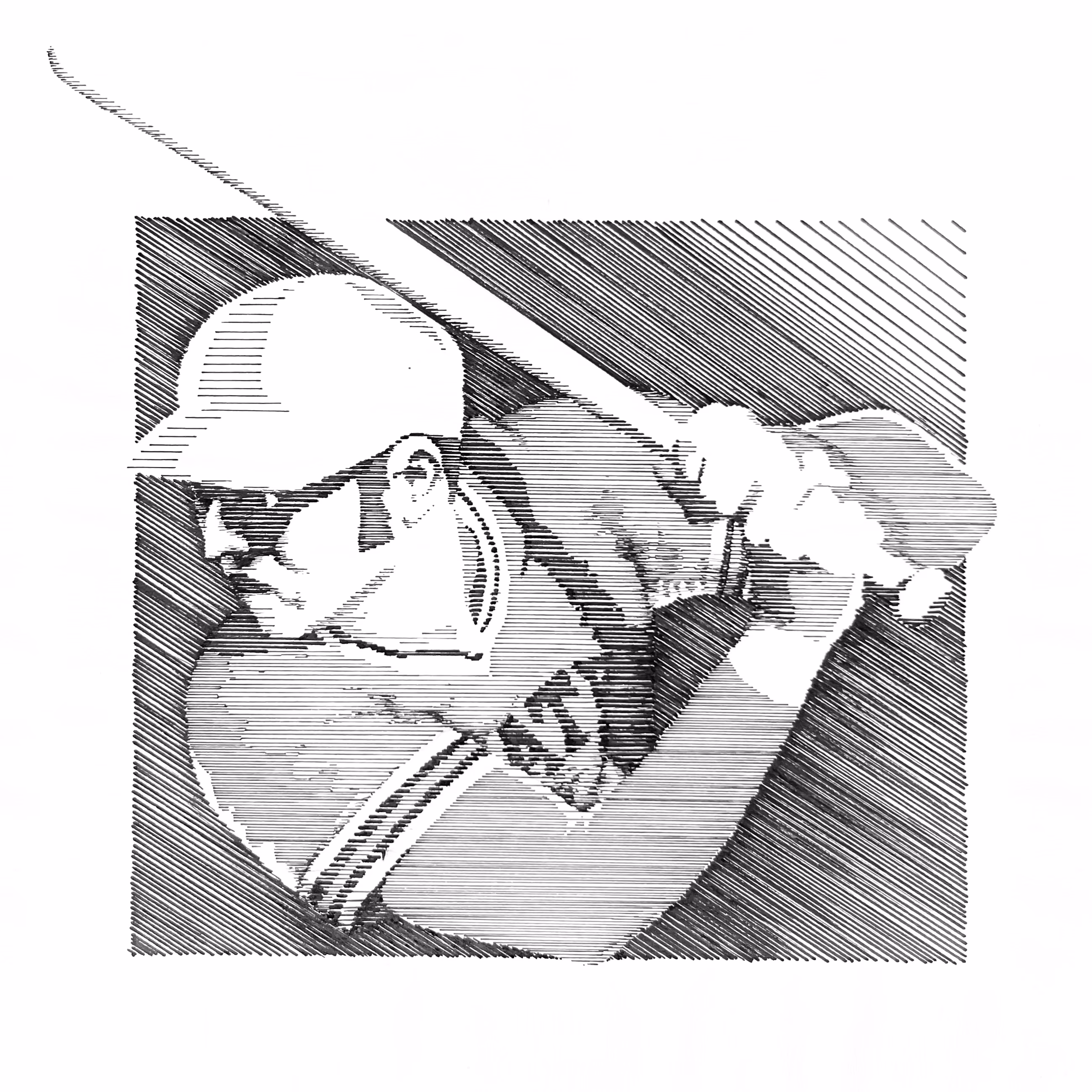 Illustration réalisée à l’encre.
