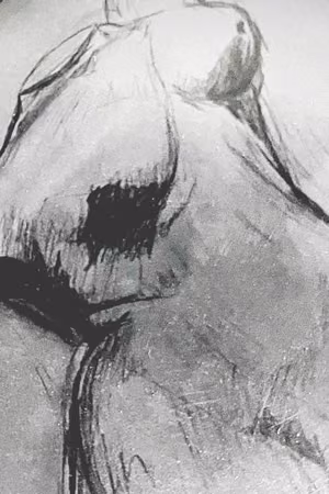 Croquis au fusain.